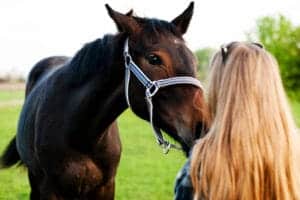 person with horse in an equine therapy treatment program