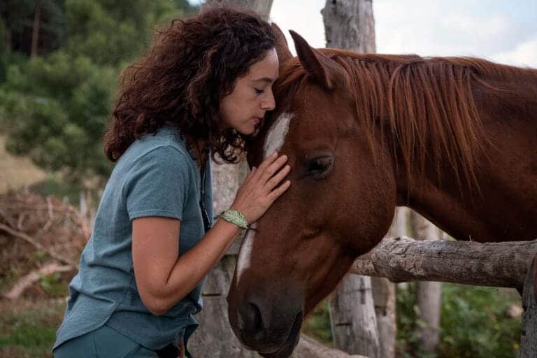 person bonding with horse after learning about what is equine therapy