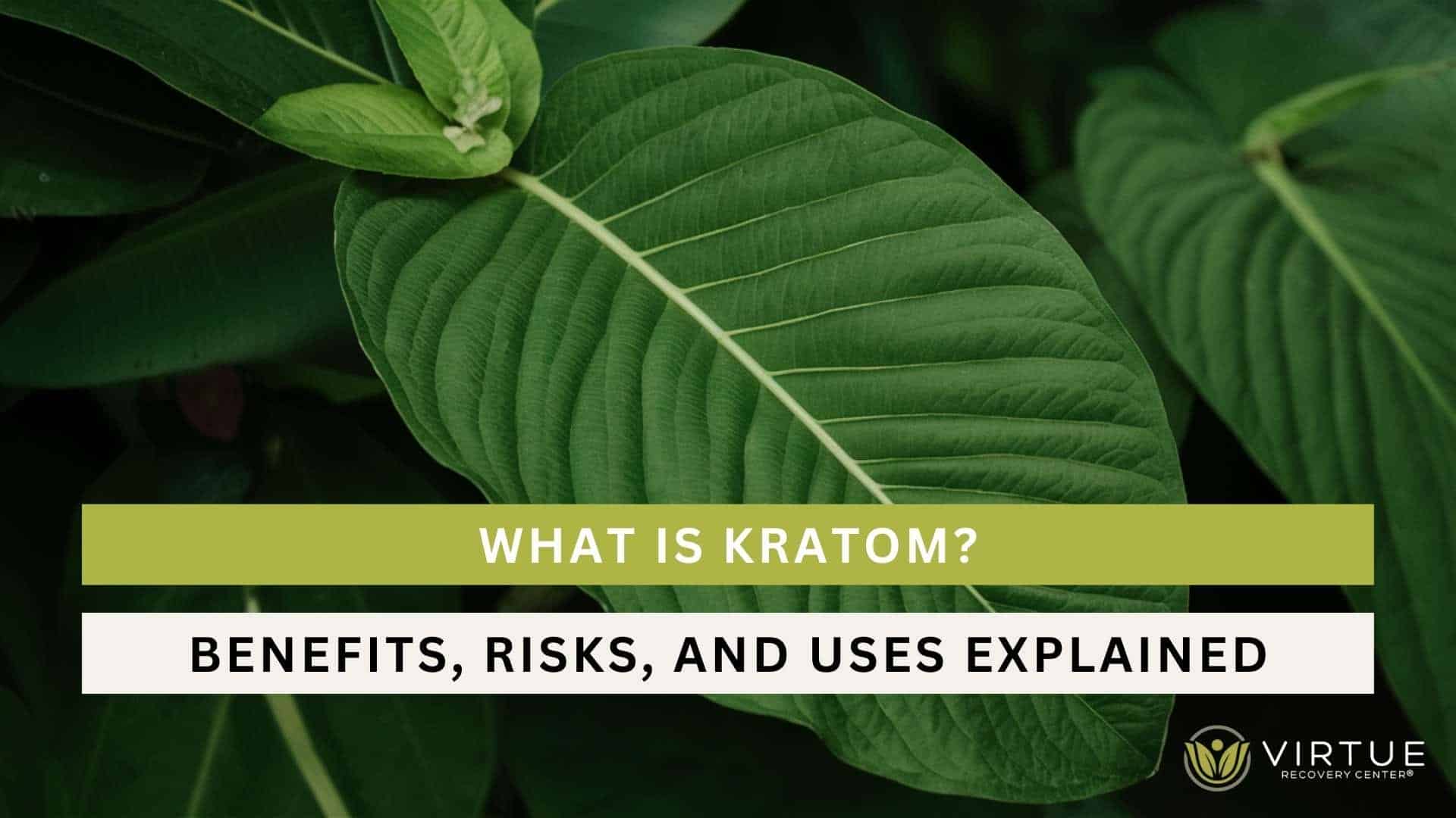 What Is Kratom? Benefits, Risks, And Uses Explained